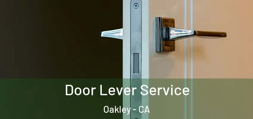  Door Lever Service Oakley - CA